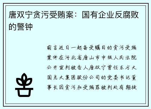 唐双宁贪污受贿案：国有企业反腐败的警钟