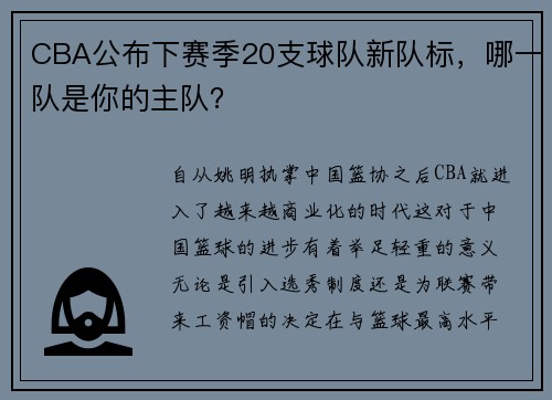 CBA公布下赛季20支球队新队标,哪一队是你的主队?